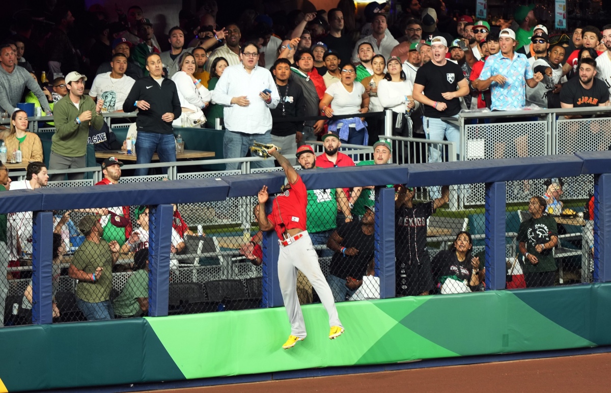 Randy Arozarena stole the show catching a safe Japan home run Randy Arozarena stole the show catching a safe Japan home run