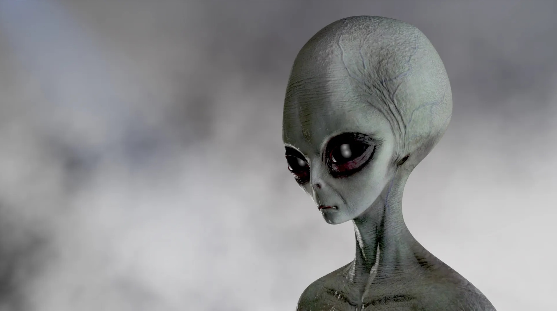 Former intelligence official assured that the United States has vehicles of extraterrestrial origin in its possession