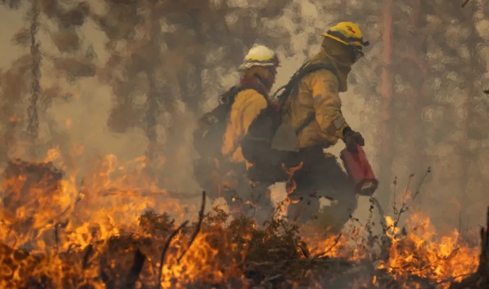 A huge fire has contaminated the Gallinas River watershed in New Mexico