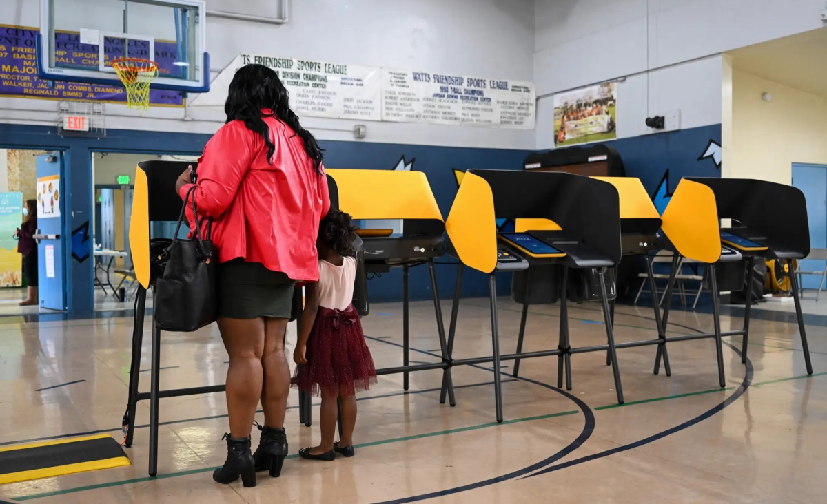 Disinformation, one of the biggest threats to the 2024 elections - Gossibox.com