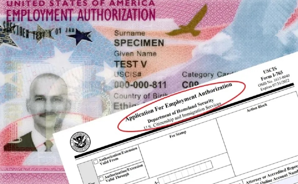 USCIS Clarifies Ease of Employment Authorization for Green Card Applicants