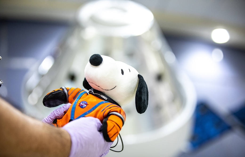 NASA shows the first photos of Snoopy after his return from space
