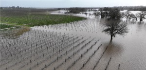 Flood victims are encouraged to take advantage of available help