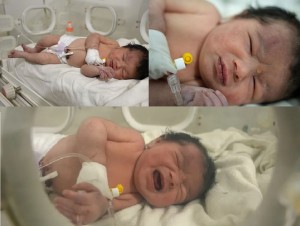 Thousands of people offer to adopt Aya, a newborn pulled from the rubble in Syria
